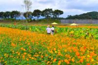 [NSP PHOTO]장성군, 추석 연휴 기간 황룡강·장성호 등에 15만 관광객 몰렸다