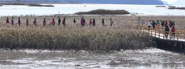 NSP통신- (사진 = 강진군)