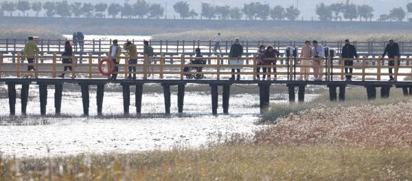 NSP통신- (사진 = 강진군)