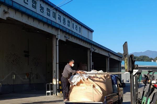 NSP통신-영주시 2023년산 공공비축미곡 2645톤 매입, 대상 품종 일품·삼광, 13일 산물벼 1300톤부터 시작 (사진 = 영주시)