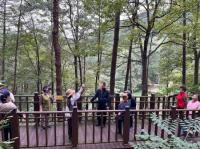 [NSP PHOTO]광양시, 노인맞춤돌봄 특화서비스 이용자 백운산 치유의 숲 나들이 운영