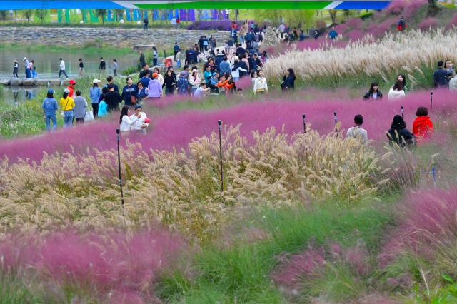 NSP통신- (사진 = 장성군)