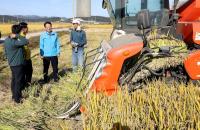 [NSP PHOTO]강진군 강진원 군수, 수확기 영농현장 찾아 미래농정 구상
