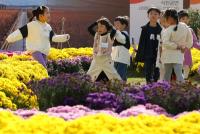 [NSP PHOTO][가볼까] 강진군,  제8회 강진만 춤추는 갈대축제 아이들 주말 놀이터로 각광