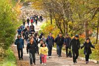 [NSP PHOTO]정선군, 항골 숨바우길 트레킹 대회 성료