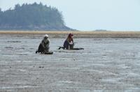 [NSP PHOTO]여수 여자만 갯벌, 세계자연유산 잠정목록 등재···김회재 의원 환영