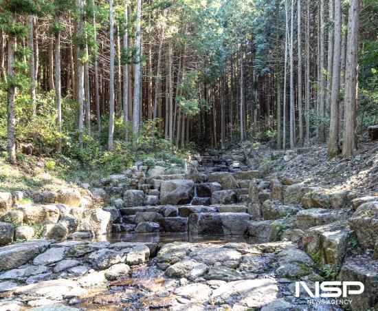 NSP통신-친환경적 시공기법 사방댐 (사진 = 광양시청)