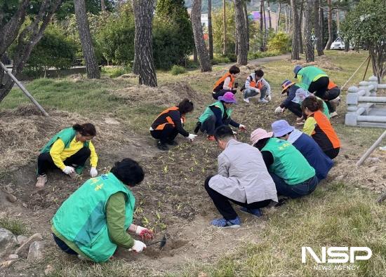 NSP통신-꽃무릇 구근 식재 (사진 = 광양시청)