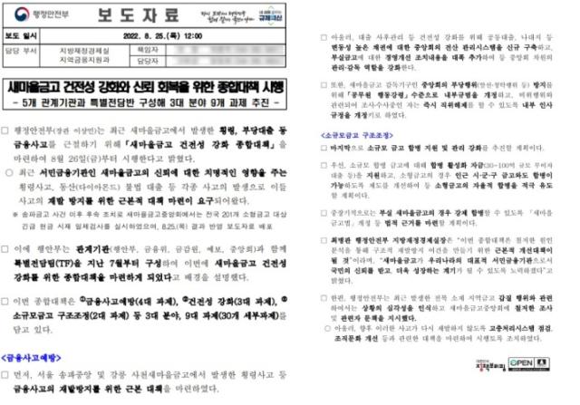 NSP통신-행정안전부가 지난해 8월 발표한 새마을금고 건전성 강화 종합대책 시행에 관한 보도자료. (사진 = 용인특례시)