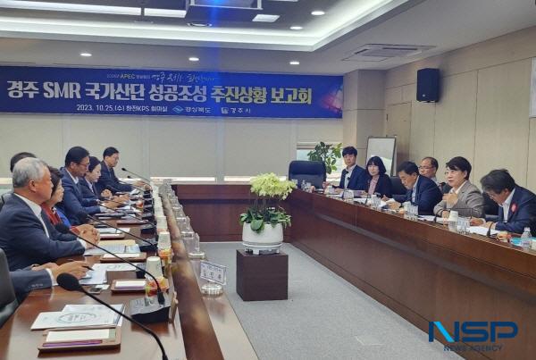 NSP통신-경상북도는 25일 이달희 경제부지사 주재로 경주 SMR 국가산단 성공 조성을 위한 추진상황 보고회 를 개최했다. (사진 = 경상북도)