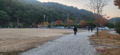 [NSP PHOTO]광양시, 사계절 꽃 피는 서천변... 안전하고 건강하게 걸어요