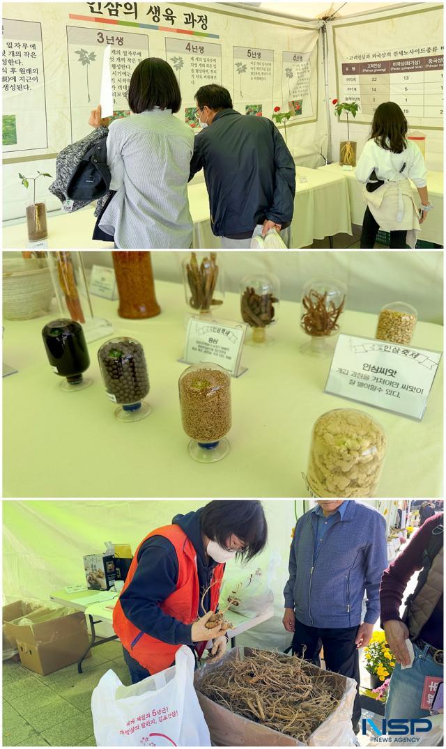 NSP통신-김포 농업 대축제 모습. (사진 = 조이호 기자)