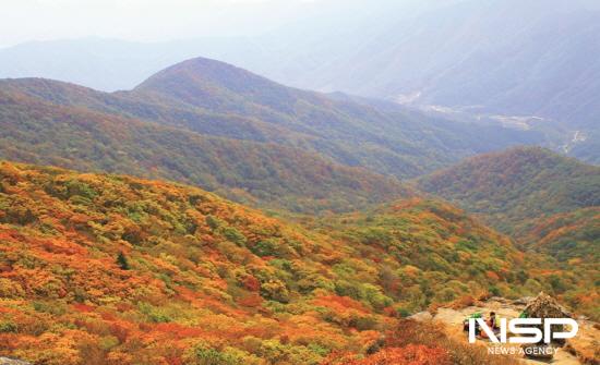 NSP통신-백운산 전경 (사진 = 광양시청)