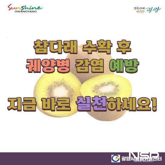 NSP통신-참다래 수확 후 궤양병 방제 포스터 (이미지 = 광양시청)