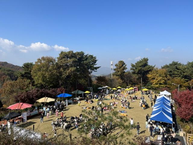 NSP통신-원주 동화마을 수목원 가을 축제 모습. (사진 = 원주시)