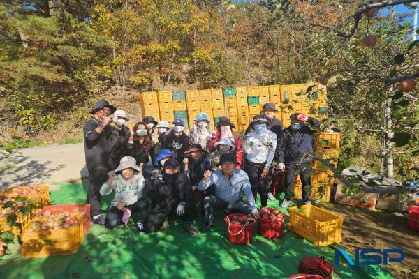 NSP통신-영덕군 주민복지과 직원 20여 명이 농번기를 맞은 관내 농가를 돕기 위해 지난 2일 영덕읍 삼계리의 과수 농장을 찾아 사과 수확 등의 봉사활동을 펼쳤다. (사진 = 영덕군)