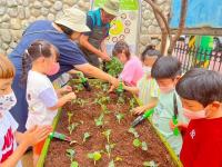 [NSP PHOTO]군산시, 도시농업 녹색공간(텃밭) 조성사업 확대 추진