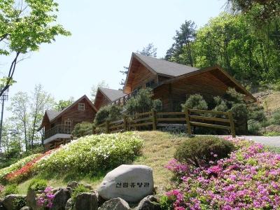 NSP통신-안동시 계명산자연휴양림은 반려인구의 증가와 애완동물 산업 성장에 발맞춰 애견동반 객실을 시범운영한다. (사진 = 안동시)