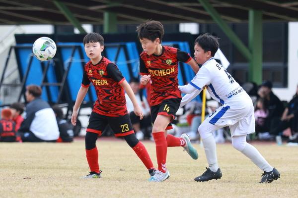 예천군, 유소년 축구축제 '2023 예천 풋볼페스타' 성료