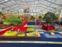 [NSP PHOTO]신안군, 2023년 대한민국 분재대전 1004섬 분재정원에서 개최