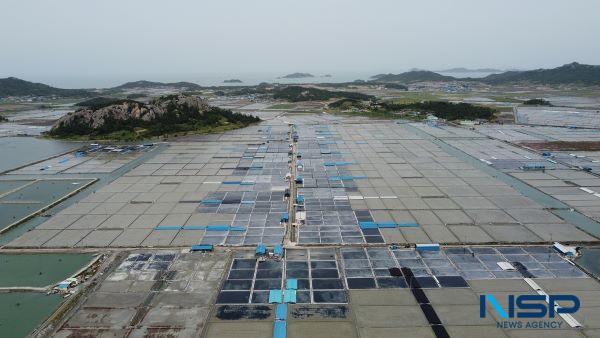 NSP통신-신안군 비금도 대동염전 전경 (사진 = 신안군)