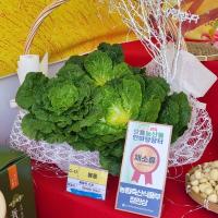 [NSP PHOTO]진도봄동, 전국으뜸농산물한마당대회 채소류 부문 대상 수상