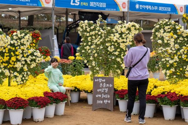 NSP통신-예천군 농업기술센터 국화·우리꽃 전시회 10일까지 연장 운영, 2023 예천농산물축제서 운영 부스와 패션쇼도 인기 끌어 (사진 = 예천군)