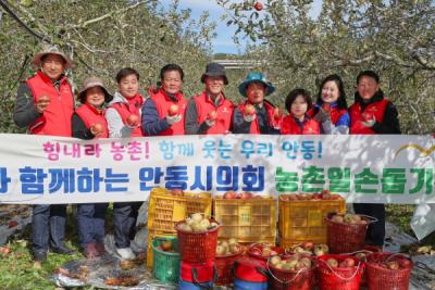 [NSP PHOTO]안동시의회, 농촌일손돕기 봉사활동 펼쳐