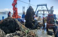 [NSP PHOTO]여수시, 가막만 해양폐기물 수거···청정어장 재생 순조