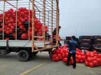 [NSP PHOTO]해남군, 인증부표 보급으로 스티로품 부표 제로화박차