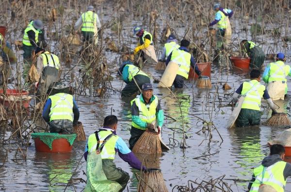 NSP통신- (사진 = 강진군)