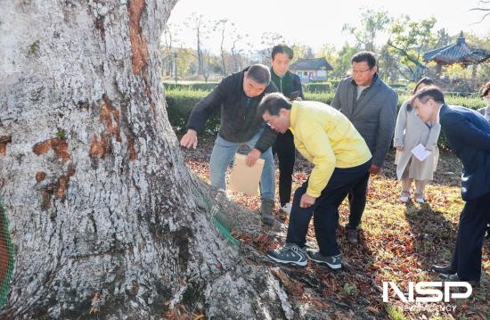 NSP통신-정인화 광양시장 광양읍수와 이팝나무 생육환경개선사업 현장 점검 (사진 = 광양시청)