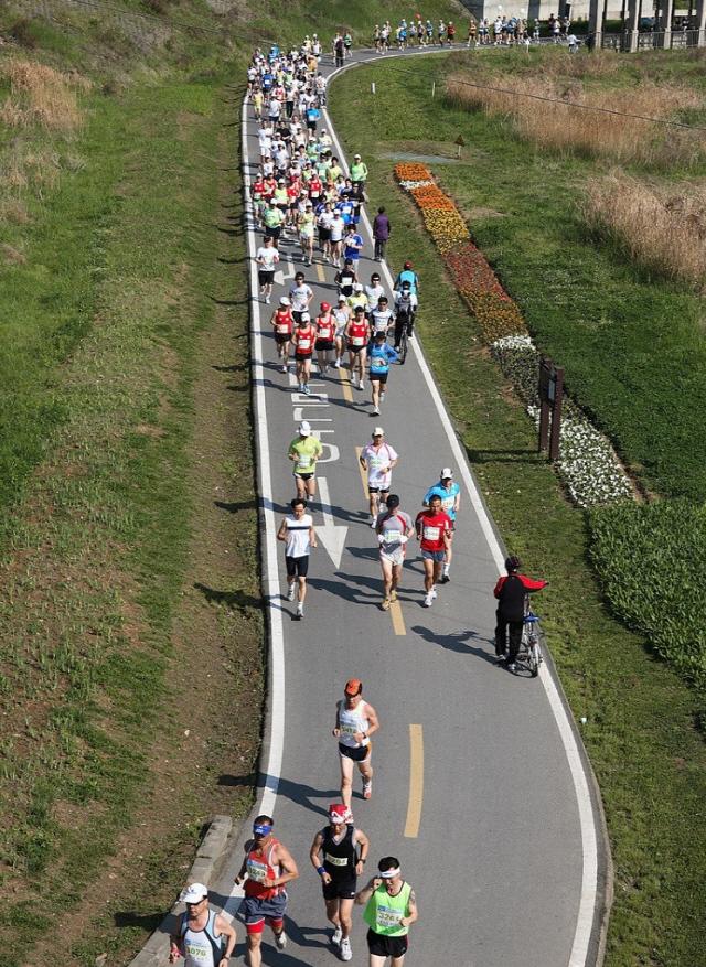 NSP통신-안양천 중심 지자체들이 개최하는 마라톤 대회를 달리고 있는 참여자들(양천 마라톤대회). (사진 = 양천구)