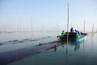 [NSP PHOTO]장흥군, 친환경 무산김 생산 돌입