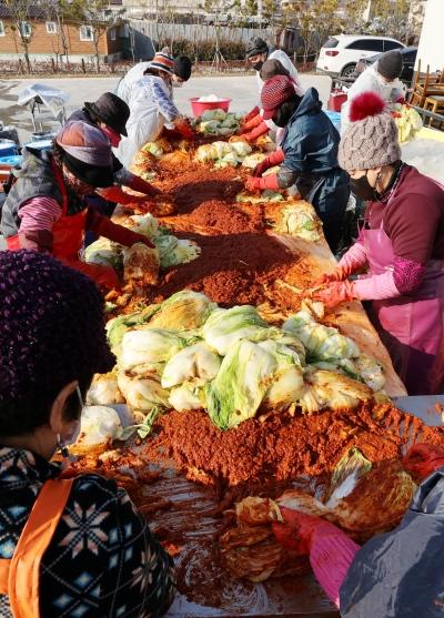 NSP통신- (사진 = 강진군)