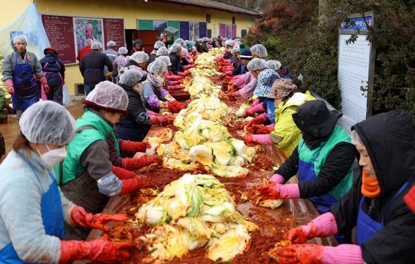 NSP통신- (사진 = 강진군)