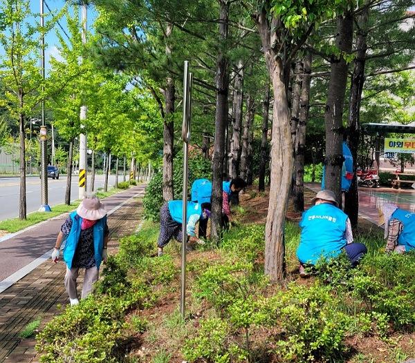 NSP통신-안동시 2024년 노인일자리사업 참여자 모집 , 12월 4일부터 15일까지 신청, 공익활동 등 3개 분야 3776명 모집 (사진 = 안동시)