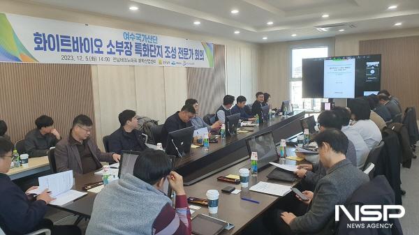 NSP통신-여수시가 여수국가산단을 화이트바이오 산업의 허브로 조성키 위해 전문가 회의를 개최했다. (사진 = 여수시)