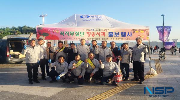 NSP통신-청송군은 청송사과GAP사업단에서 꼭지 무절단 청송사과의 장점을 다방면으로 홍보하고자, 지난 7일 부산광역시 해운대에서 홍보·시식 행사를 벌이며 소비자 및 유통시장의 인식개선과 신뢰향상을 위해 앞장섰다고 밝혔다. (사진 = 청송군)