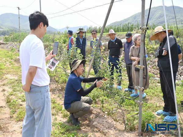 [NSP PHOTO]청송군, 2024년 경북농민사관학교 현장특화교육과정(사과) 교육생 모집