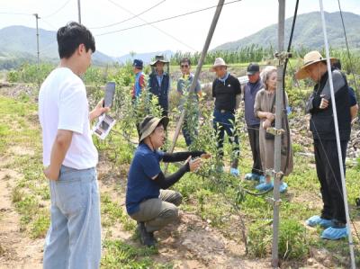 [NSP PHOTO]청송군, 2024년 경북농민사관학교 현장특화교육과정(사과) 교육생 모집