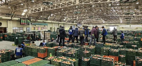 [NSP PHOTO]안동농협, 유통사업 활성화 도모 출하선급금 지원