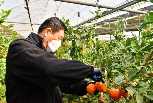 NSP통신- (사진 = 장성군)