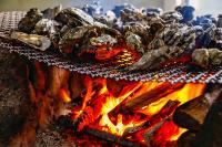 [NSP PHOTO]장흥군 굴구이, 겨울 몸보신 음식으로 인기몰이전남도겨울 몸보신 식도락 여행추천 제철 음식 선정