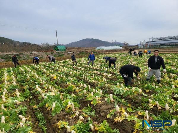 NSP통신-구미시는 농업 및 농촌 분야에 새로운 활력을 불어넣고 미래 농업을 주도할 청년 농업인을 체계적으로 양성하기 위해 청년 농업인 육성 정책을 적극적으로 추진한다. (사진 = 구미시)