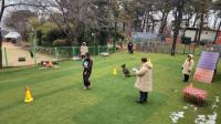 [NSP PHOTO]KCMC문화원, 개 기질 평가 테스트 지도자 과정 시험 실시