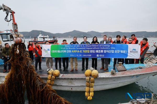 NSP통신- (사진 = 완도군)