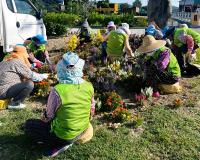 [NSP PHOTO]장성군, 새해 노인일자리사업 확대 시행