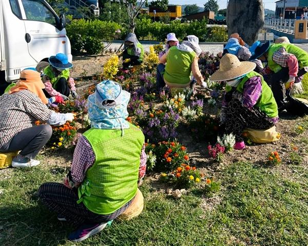 NSP통신- (사진 = 장성군)