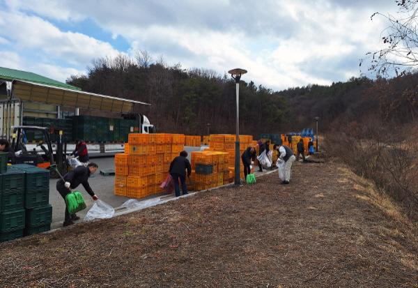 [NSP PHOTO]안동시, 농수산물도매시장 설맞이 환경정비 실시